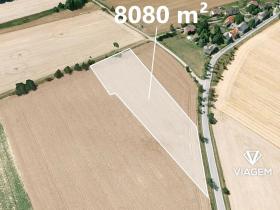 Prodej pole, Studnice, 8080 m2