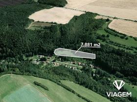 Prodej pole, Lašovice, 7881 m2