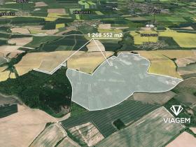 Prodej podílu lesa, Křenovice, 16746 m2