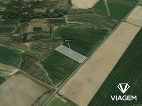 Prodej podílu pole, Horšovský Týn, 1559 m2