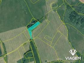 Prodej pole, Pšov, 4281 m2