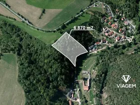 Prodej podílu lesa, Chlum, 1311 m2