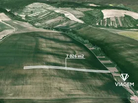 Prodej podílu pole, Archlebov, 1289 m2