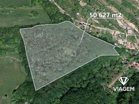 Prodej podílu lesa, Košíky, 8165 m2