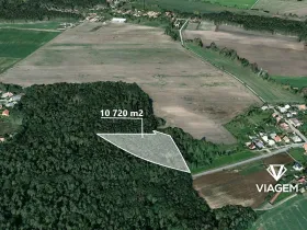 Prodej podílu lesa, Dašice, 5360 m2