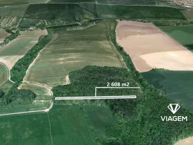 Prodej podílu lesa, Ostrožská Lhota, 978 m2