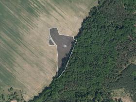 Prodej pole, Morašice, 8621 m2