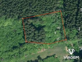 Prodej podílu lesa, Vsetín, 349 m2