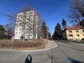 Prodej bytu 2+1, Frýdek-Místek, Jungmannova, 56 m2