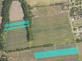 Prodej podílu pole, Nový Jáchymov, 49952 m2