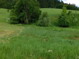 Dražba louky, Velké Karlovice, 14772 m2