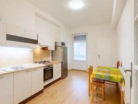 Pronájem bytu 1+1, Brno, Havlišova, 50 m2