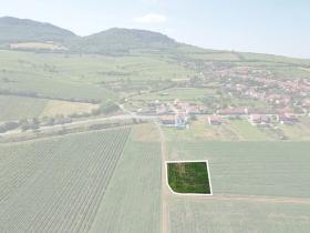 Prodej pole, Horní Věstonice, 1179 m2