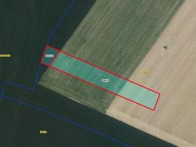 Prodej pole, Lozice, 10021 m2