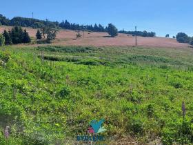 Prodej pozemku pro bydlení, Osek, 2000 m2