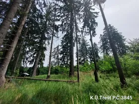 Prodej lesa, Třešť, 1987 m2