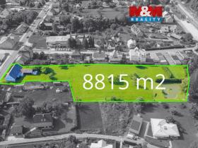 Prodej pozemku pro bydlení, Loučná nad Desnou - Kociánov, 8815 m2