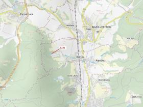 Dražba lesa, Spešov, 1590 m2