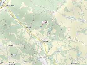 Dražba lesa, Zubrnice, 8765 m2