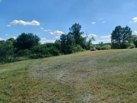 Dražba pozemku, Česká Lípa, 10090 m2