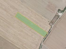 Prodej pole, Čachovice, 55278 m2