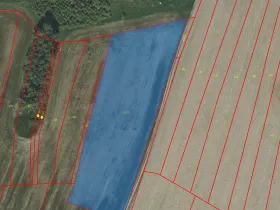 Prodej pole, Radošovice, 6988 m2