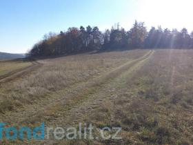 Prodej pole, Prostějovičky, 4403 m2