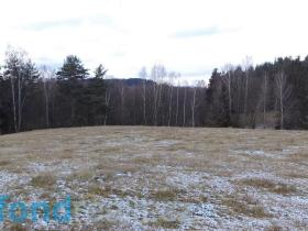 Prodej pole, Horní Stropnice - Rychnov u Nových Hradů, 12382 m2