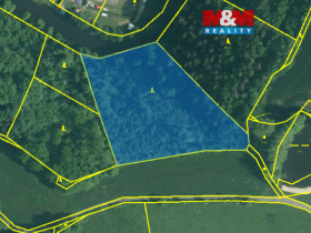 Prodej lesa, Římov - Branišovice, 9271 m2