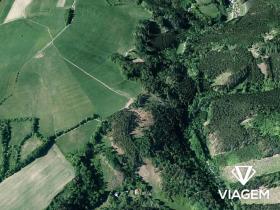 Prodej lesa, Lomnice, 10434 m2