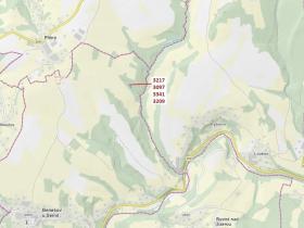 Dražba lesa, Benešov u Semil, 1649 m2