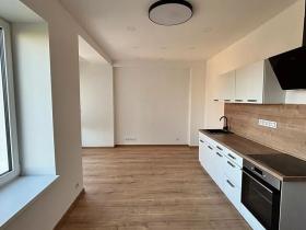 Pronájem bytu 1+kk, Praha - Motol, Podhorská, 27 m2