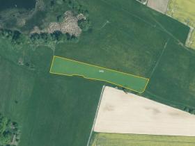 Prodej louky, Bernartice, 7851 m2