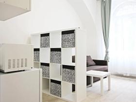 Pronájem bytu 1+kk, Brno, Koliště, 26 m2