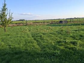 Prodej zahrady, Hněvotín, 507 m2