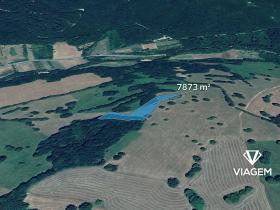 Prodej podílu pole, Javorník, 507 m2