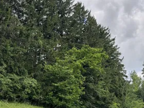 Prodej pozemku, Český Dub, 19364 m2