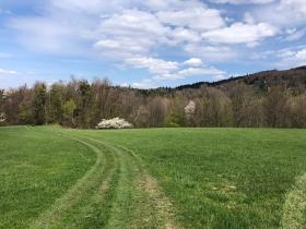 Prodej louky, Frýdlant nad Ostravicí, 44238 m2