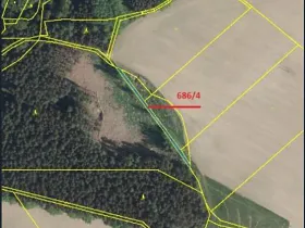 Prodej podílu lesa, Pacov, 475 m2