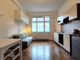Pronájem bytu 1+kk, Praha - Libeň, V Holešovičkách, 20 m2
