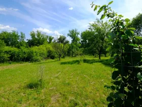 Prodej zahrady, Uherský Brod, 2032 m2