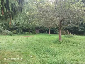 Prodej zahrady, Chlístovice, 1161 m2