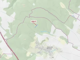 Dražba lesa, Veverské Knínice, 3926 m2