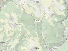 Dražba lesa, Jílové u Držkova, 4305 m2