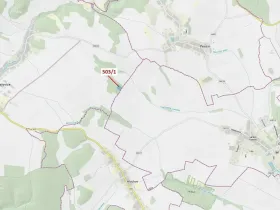 Dražba lesa, Přemyslovice, 7049 m2