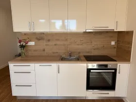 Pronájem bytu 1+kk, Frýdek-Místek, Dr. M. Tyrše, 33 m2