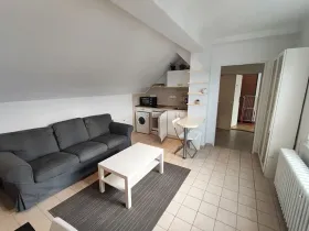 Pronájem bytu 2+kk, Praha - Nové Město, Vladislavova, 38 m2