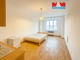 Pronájem bytu 1+kk, Praha - Nusle, V Horkách, 25 m2