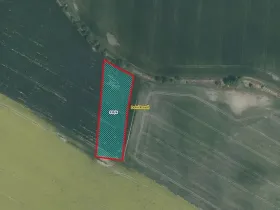 Prodej pole, Dolní Roveň, 6475 m2