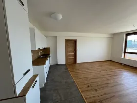 Pronájem bytu 2+kk, Frýdek-Místek, Čelakovského, 98 m2